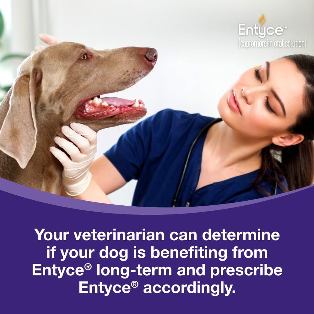 Dog Appetite Stimulant Oral Solution 30mg/ml 10 ml L287391