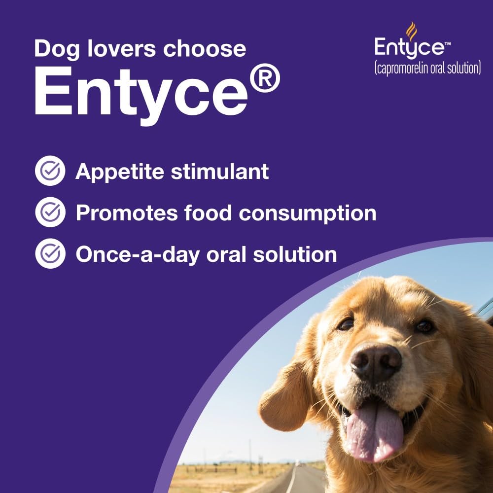Dog Appetite Stimulant Oral Solution 30mg/ml 10 ml L287391