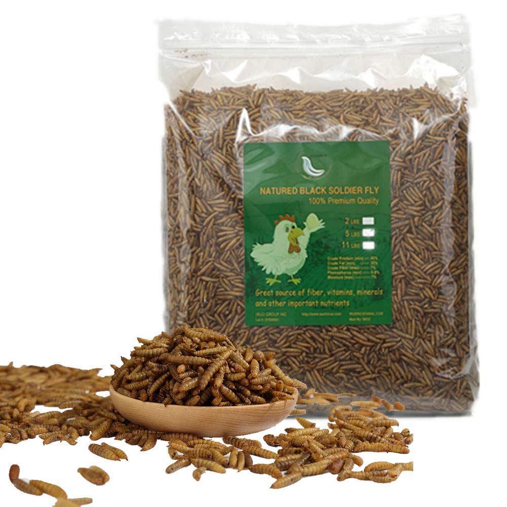 20LBS Black Soldier Fly Larvae Treats for Birds Chickens Z2885