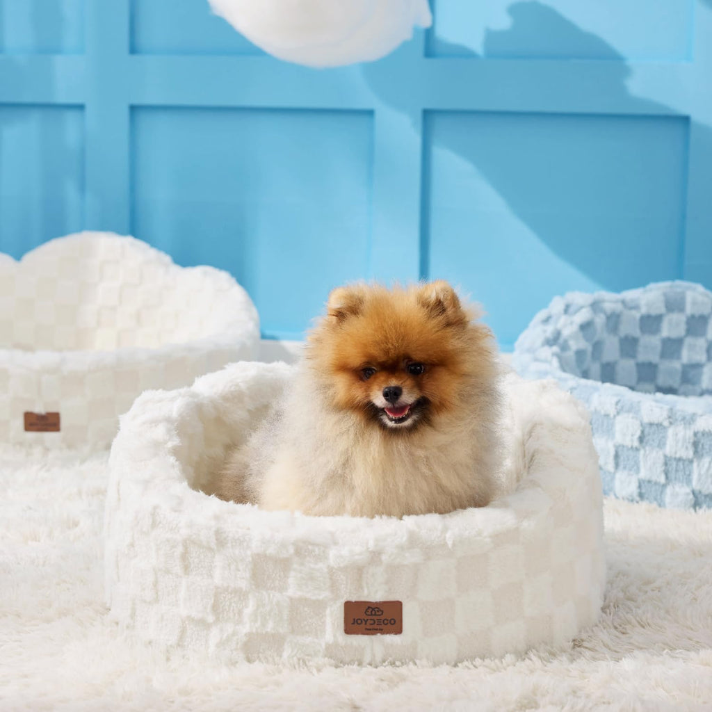 Washable Dog Bed with Orthopedic Foam White N69273