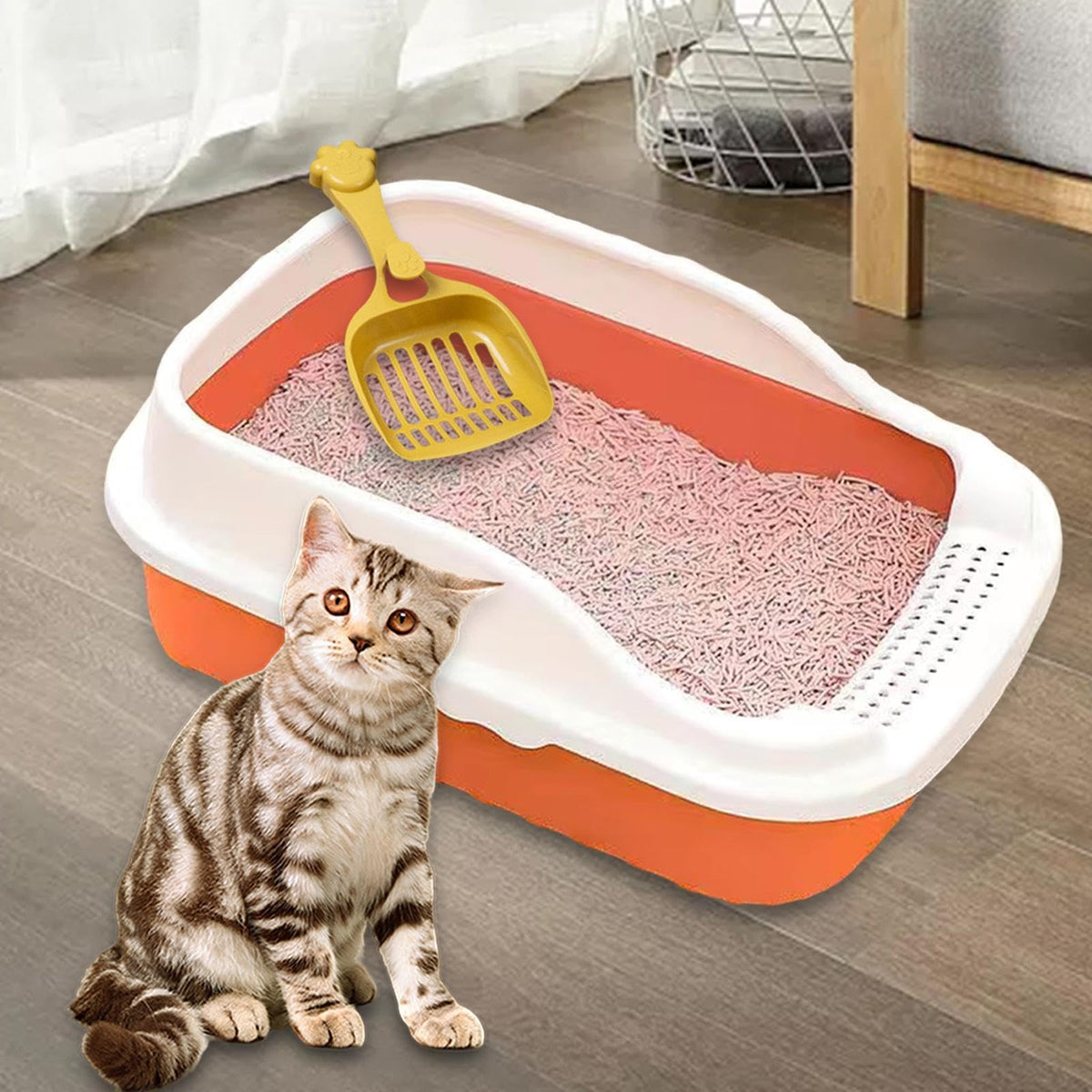 Open Top Cat Litter Box V692636