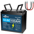 12V 100Ah LiFePO4 Battery D2538