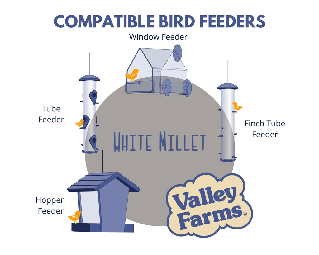 White Millet Wild Bird Seed 20 LB R13982