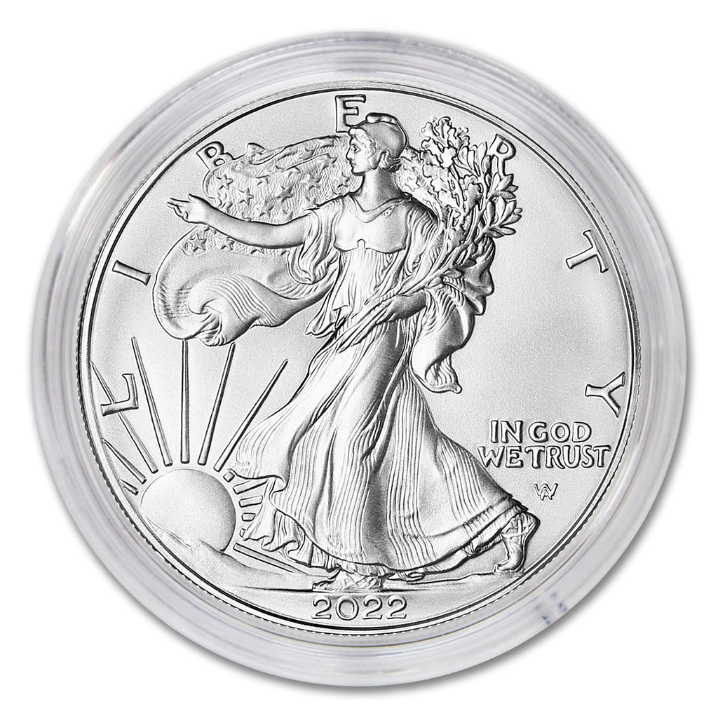 1 oz American Silver Eagle Coin B628