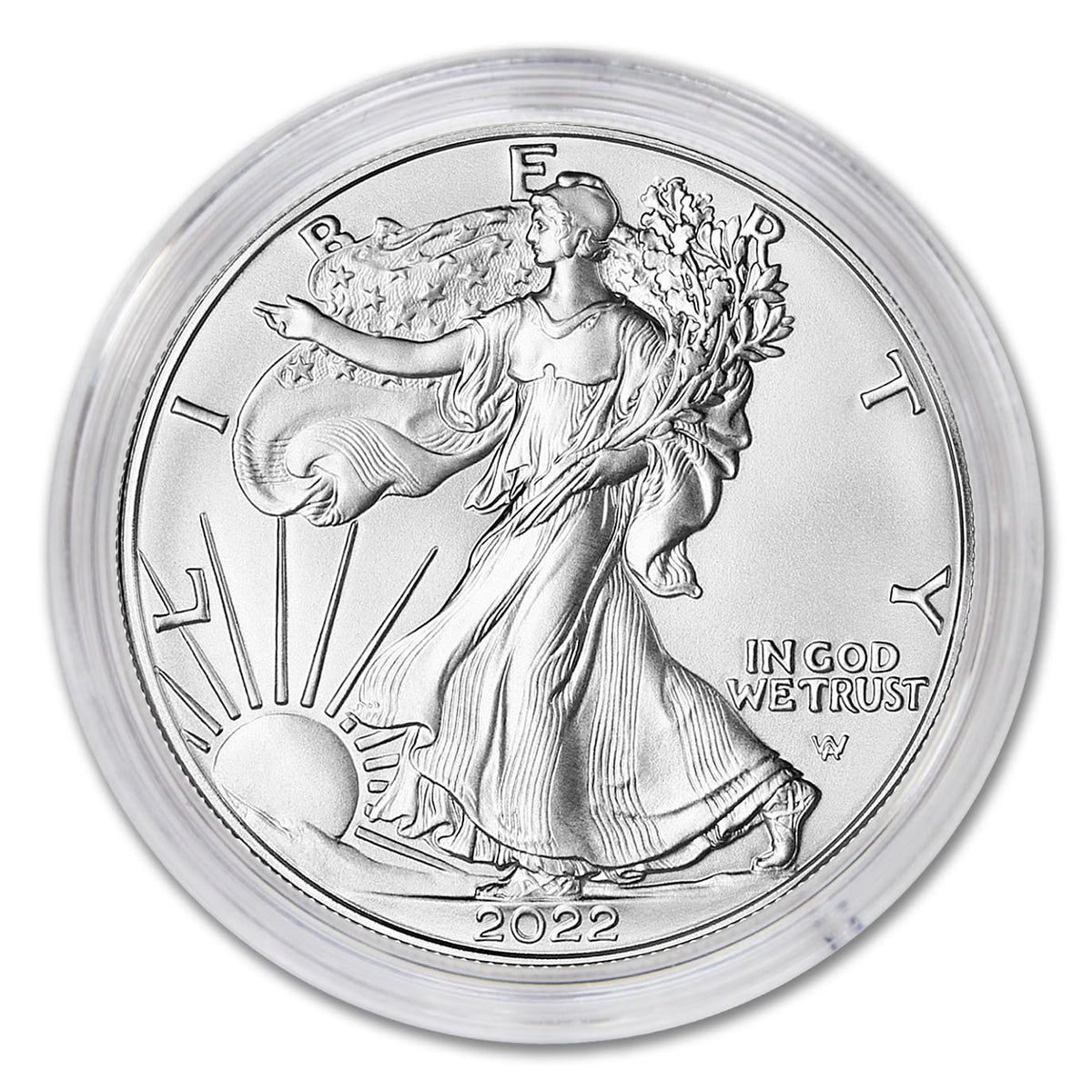 1 oz American Silver Eagle Coin B628