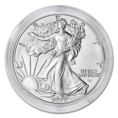 1 oz American Silver Eagle Coin B628
