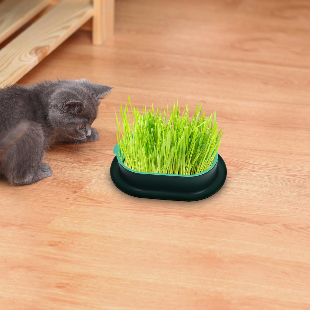 3 Piece Cat Grass Planter Kit D352095