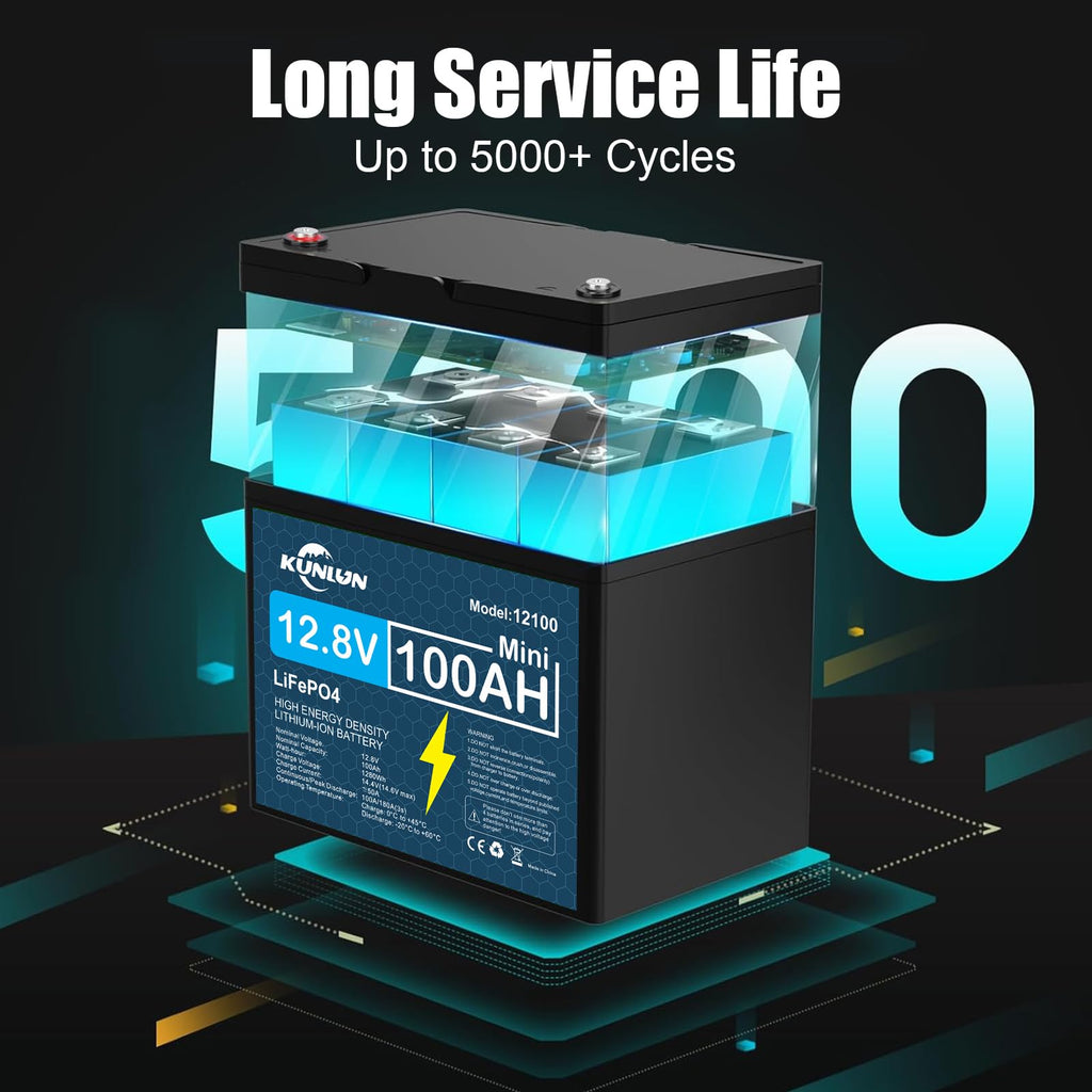 12V 100Ah LiFePO4 Battery D2538