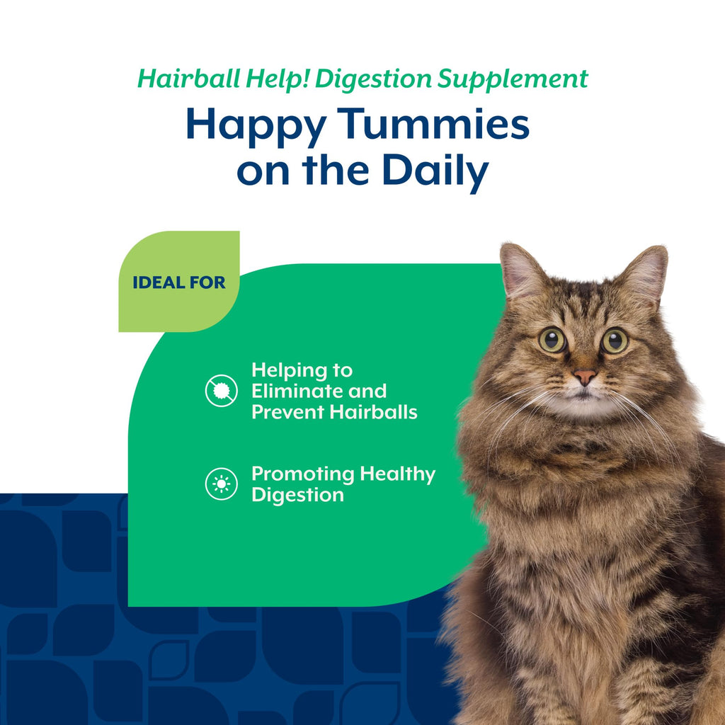 Hairball Aid Supplement for Cats Plus Pumpkin 60 Soft Chews O699