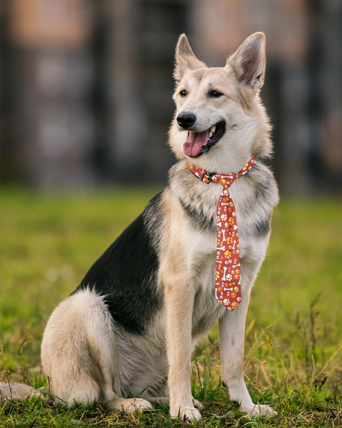60 Pack Paw Print Dog Bowties and Ties I835898