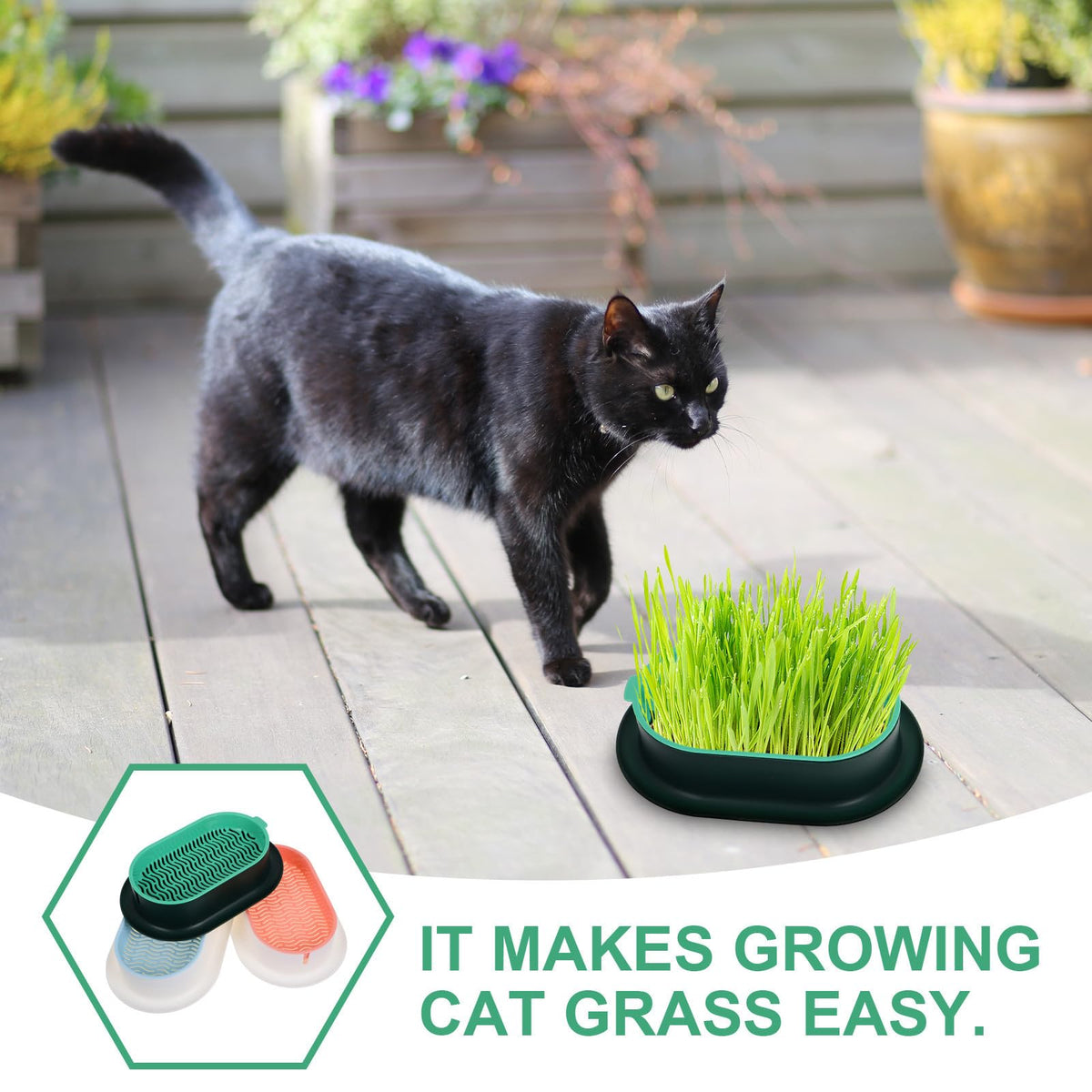 3 Piece Cat Grass Planter Kit D352095