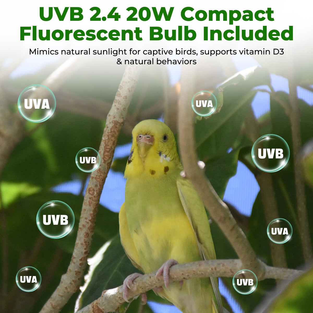 UVB Bird Cage Light Combo Kit E804