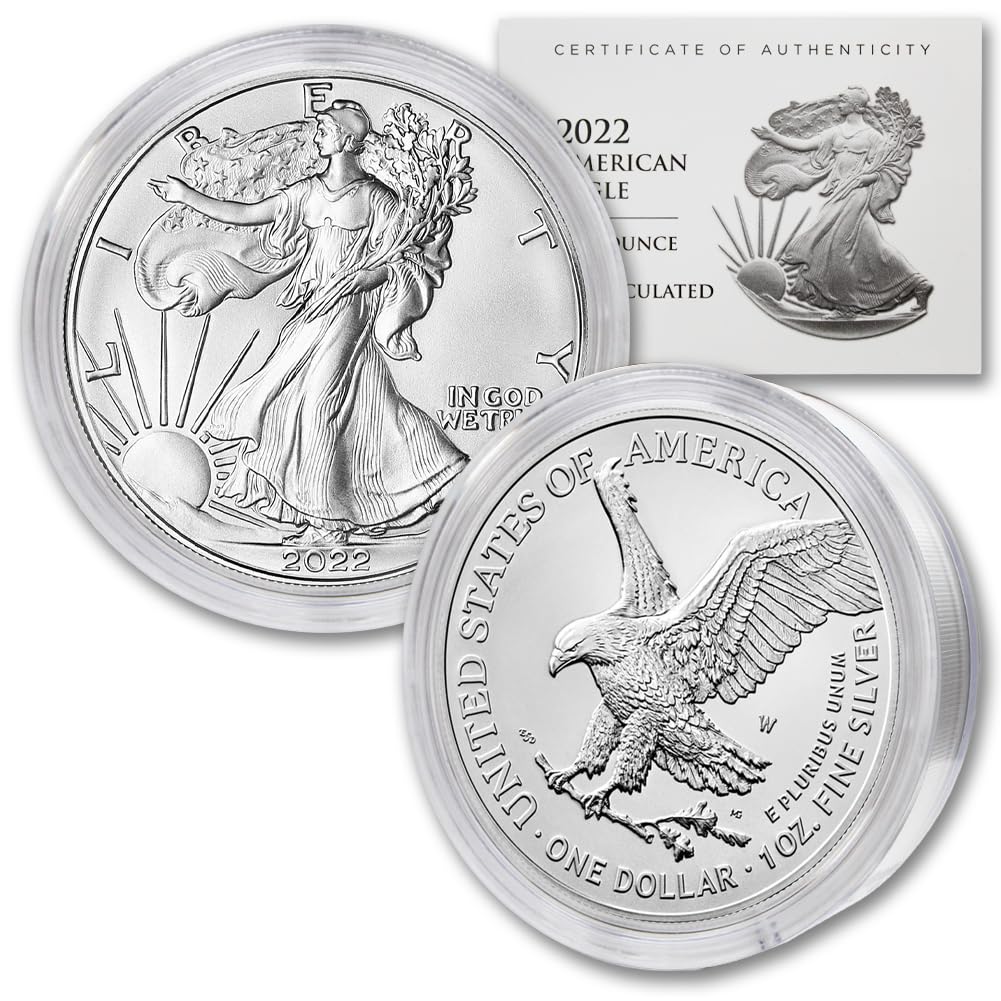 1 oz American Silver Eagle Coin B628