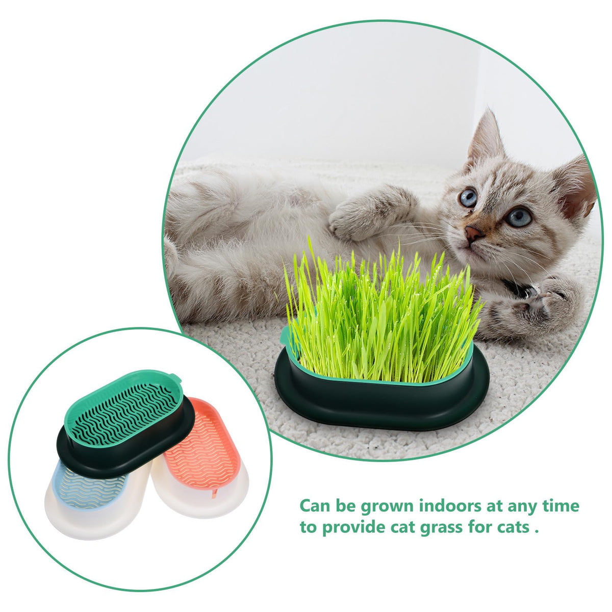 3 Piece Cat Grass Planter Kit D352095