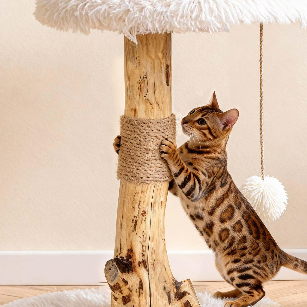 Modern Cat Tree Tower with Sisal Scratching Post O6217