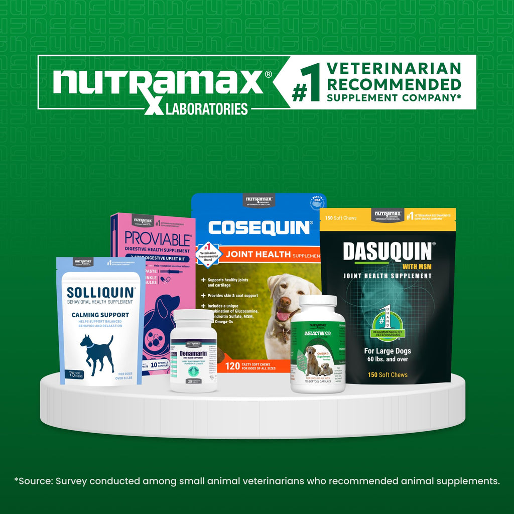 Liver Supplement for Large Dogs, 30ct H993350