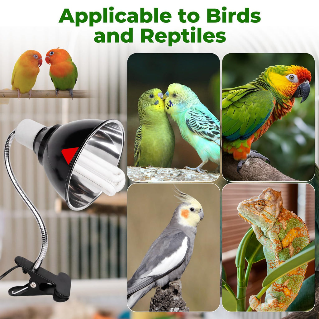 UVB Bird Cage Light Combo Kit E804