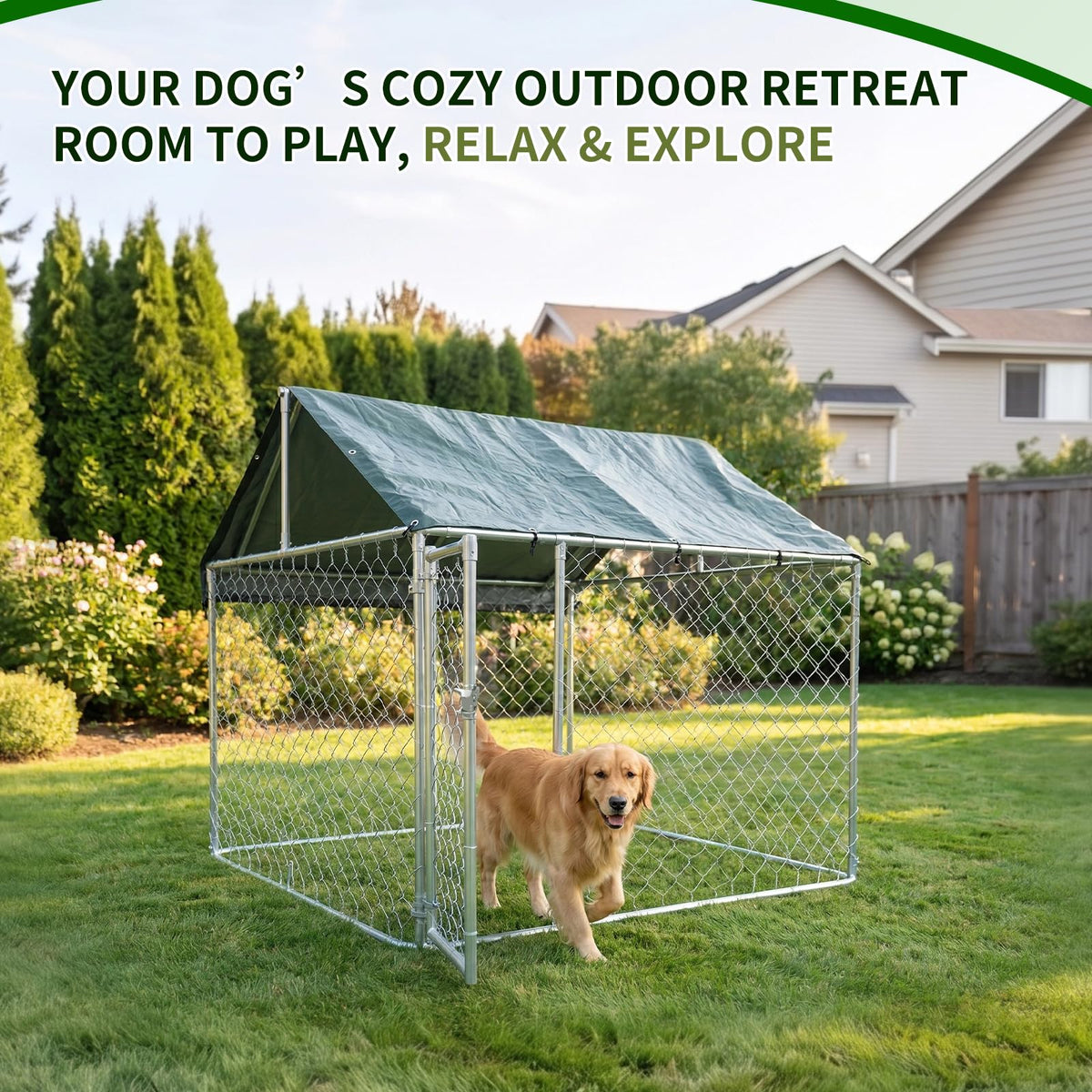 Heavy Duty Outdoor Dog Kennel Galvanized Steel Enclosure P1748
