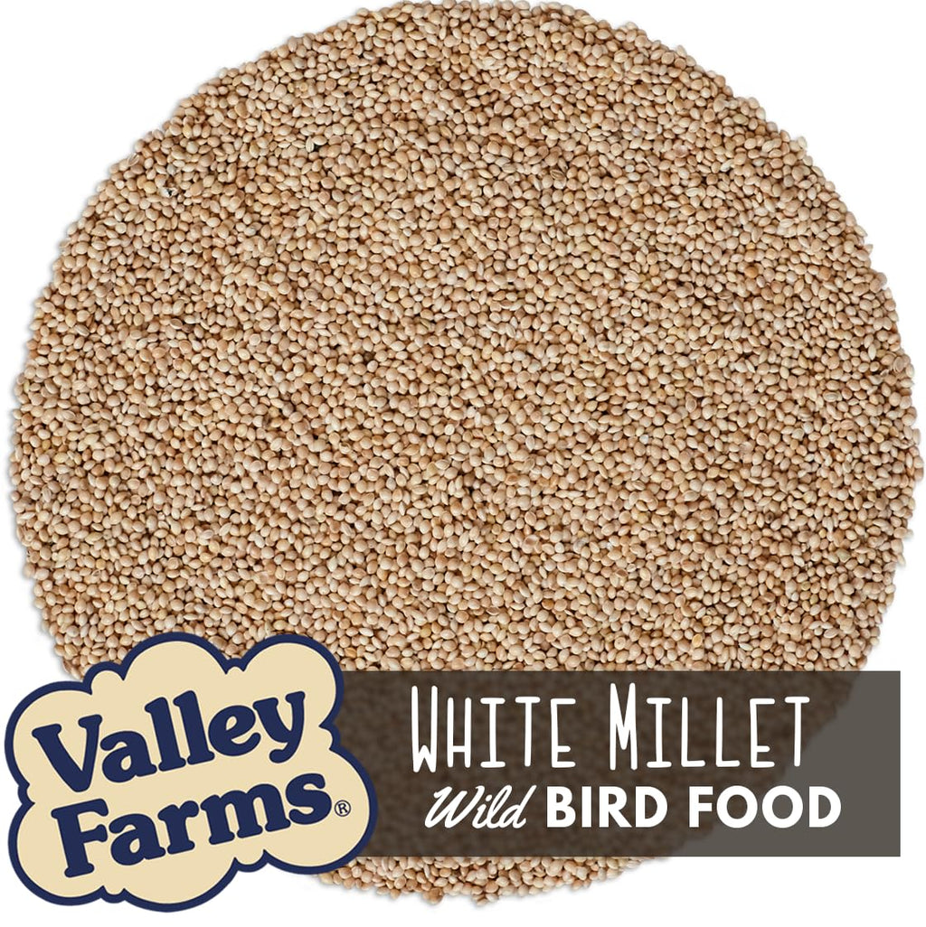 White Millet Wild Bird Seed 20 LB R13982