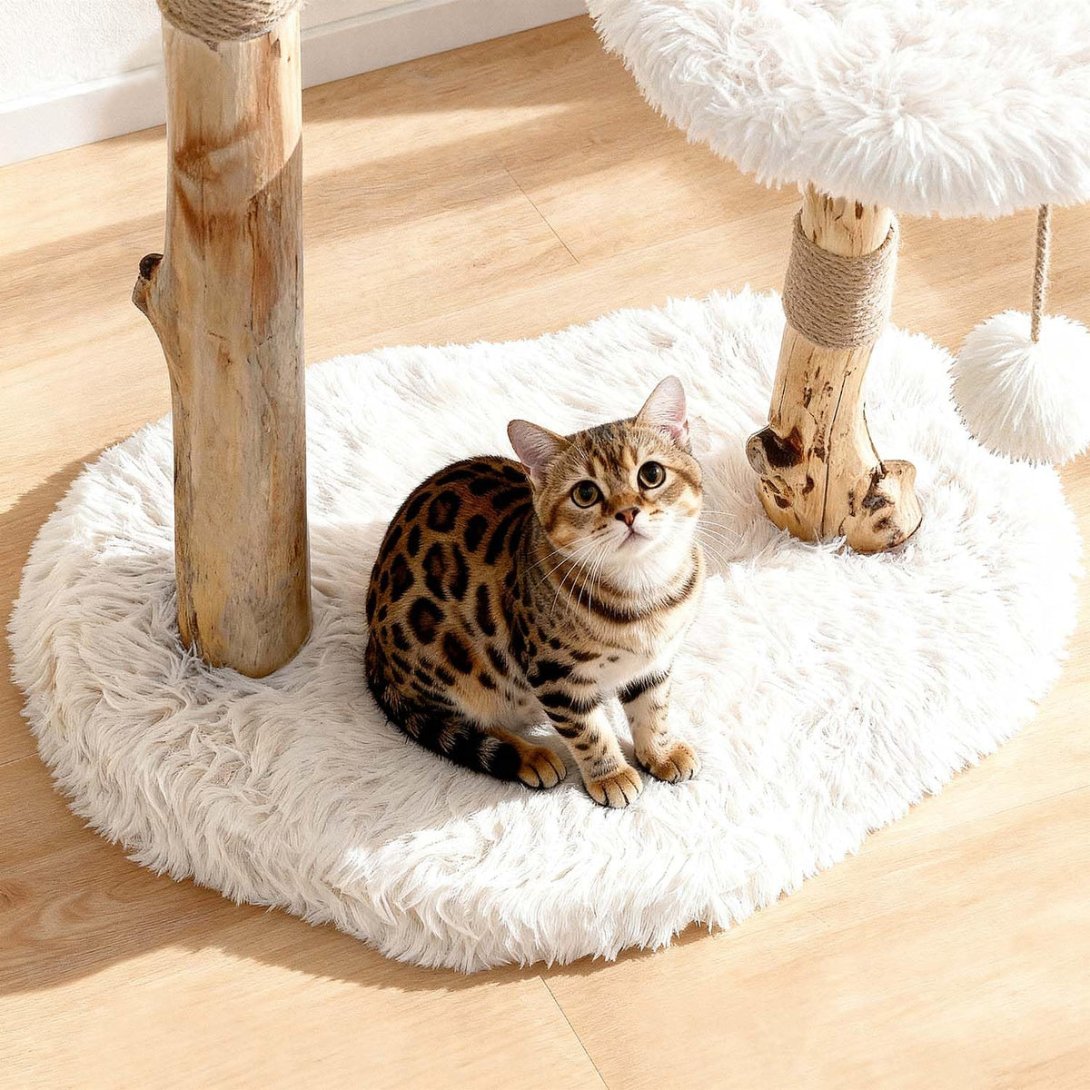Modern Cat Tree Tower with Sisal Scratching Post O6217