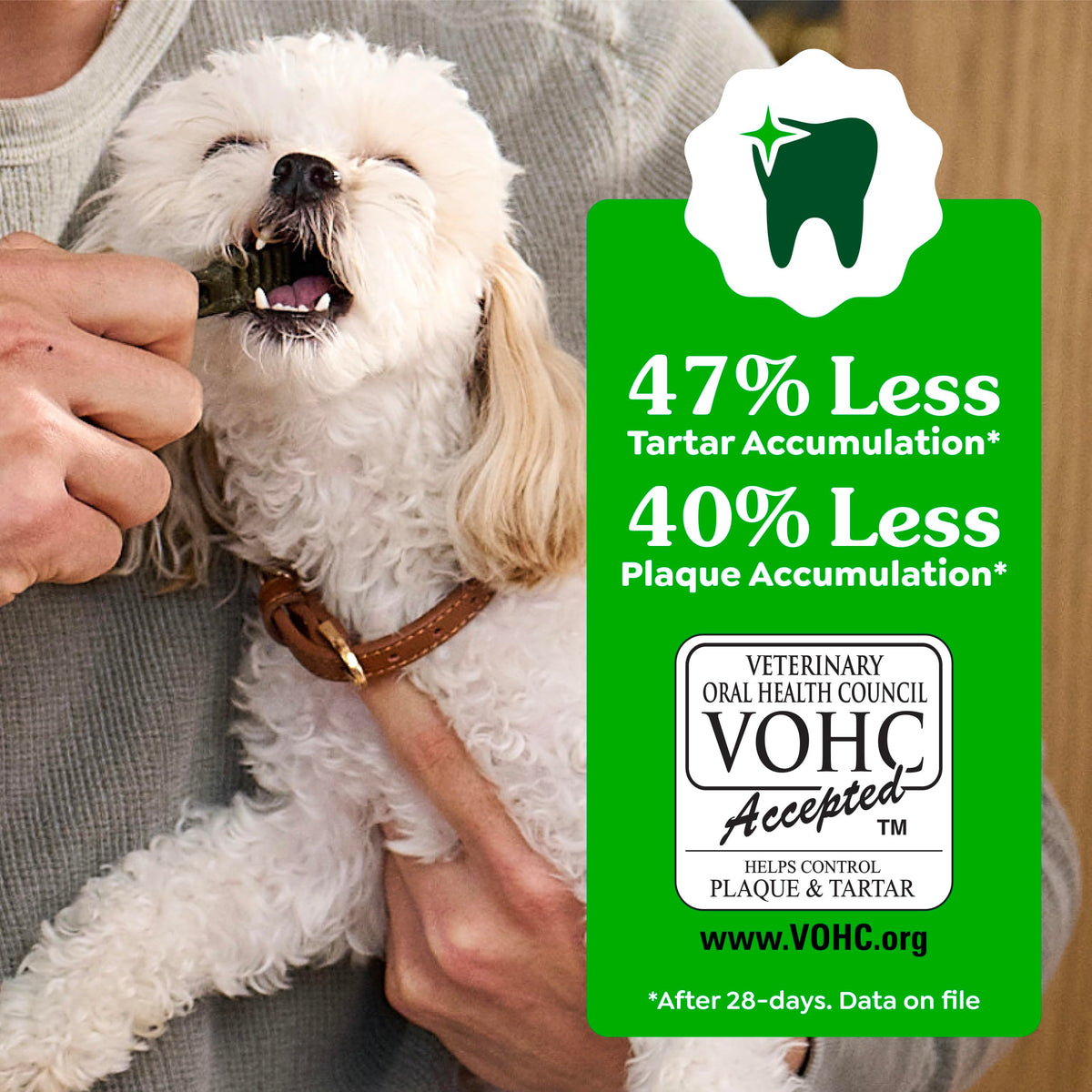 Natural Dental Dog Treats Fresh Mint Flavor 12 Count D572843