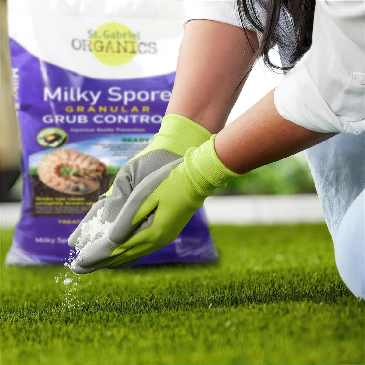 Milky Spore Granular Grub Control H39583