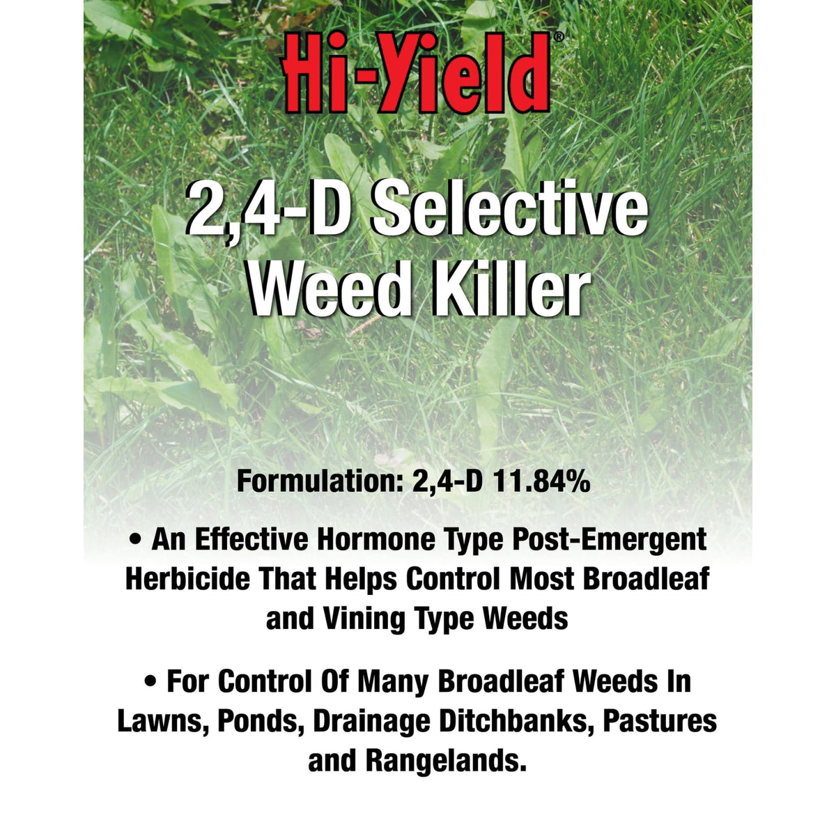 2,4-D Selective Weed Killer F54952