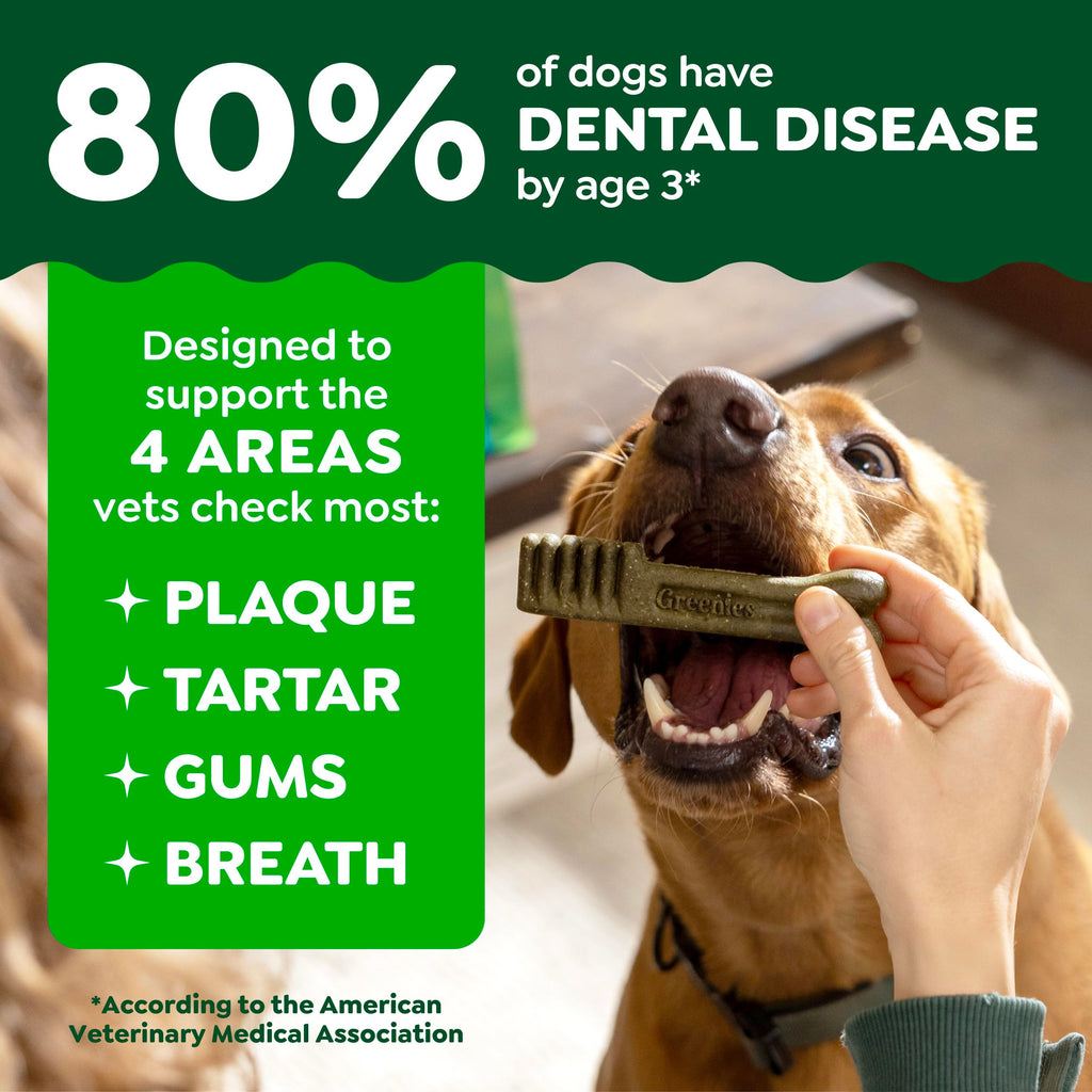 Natural Dental Dog Treats Fresh Mint Flavor 12 Count D572843