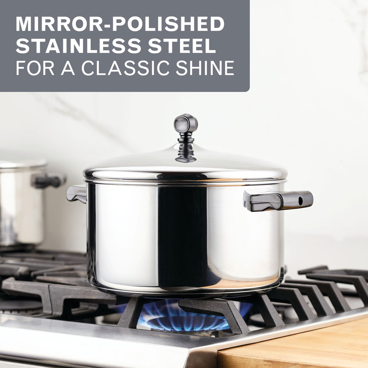 Stainless Steel 6-Quart Stockpot with Lid W38662