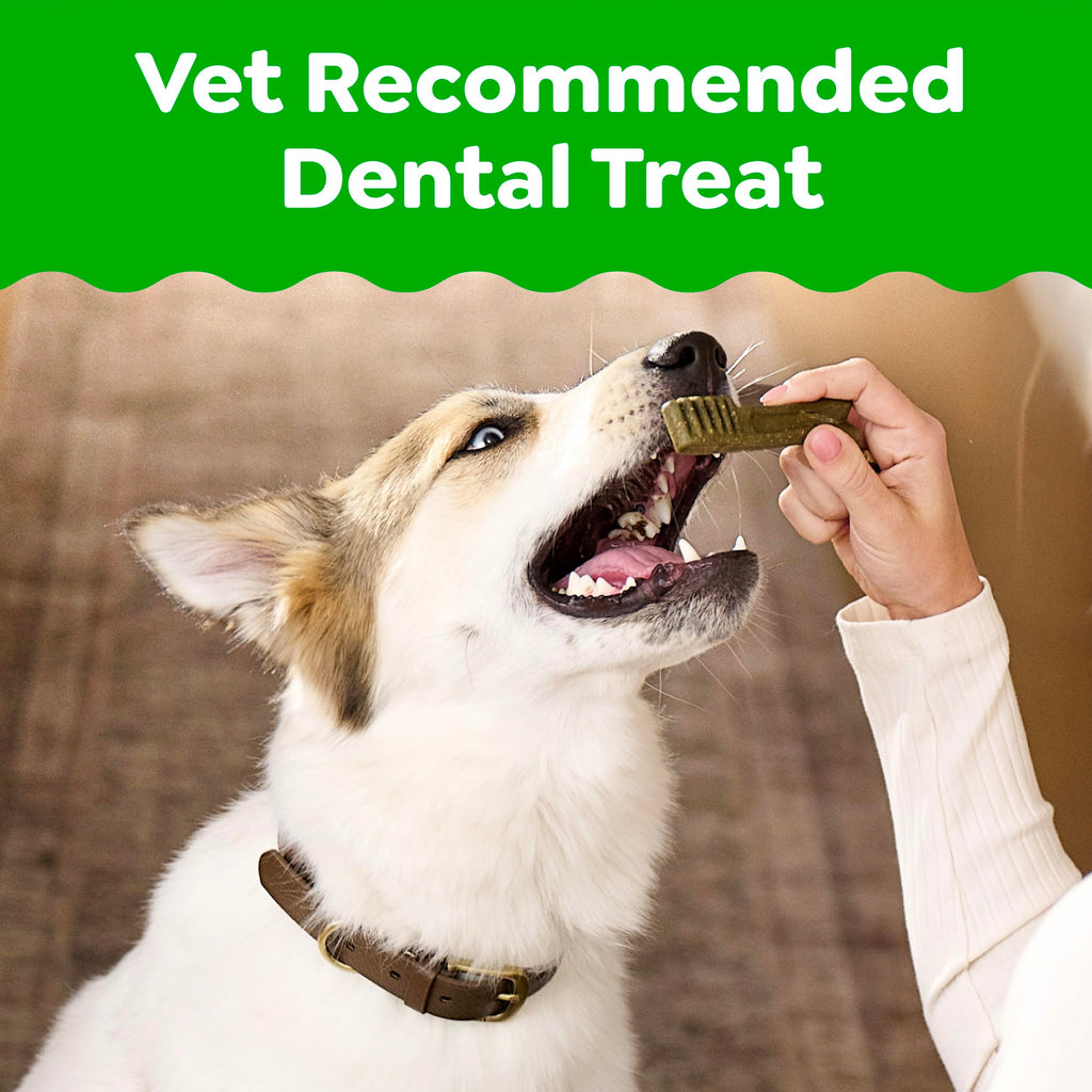 Natural Dental Dog Treats Fresh Mint Flavor 12 Count D572843