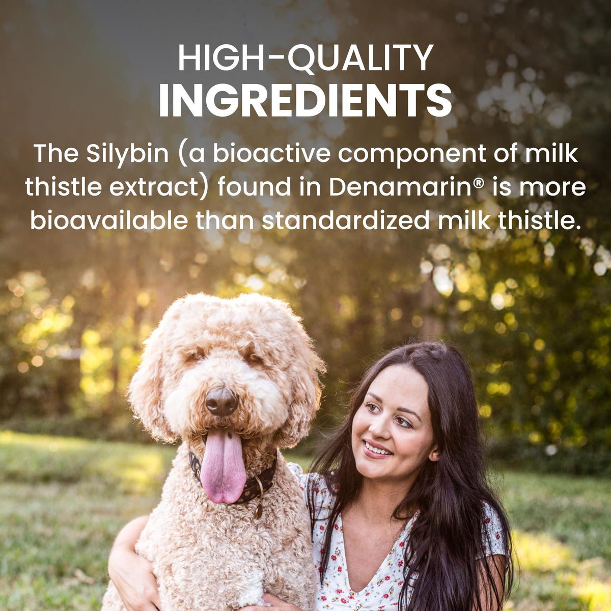 Liver Supplement for Large Dogs, 30ct H993350