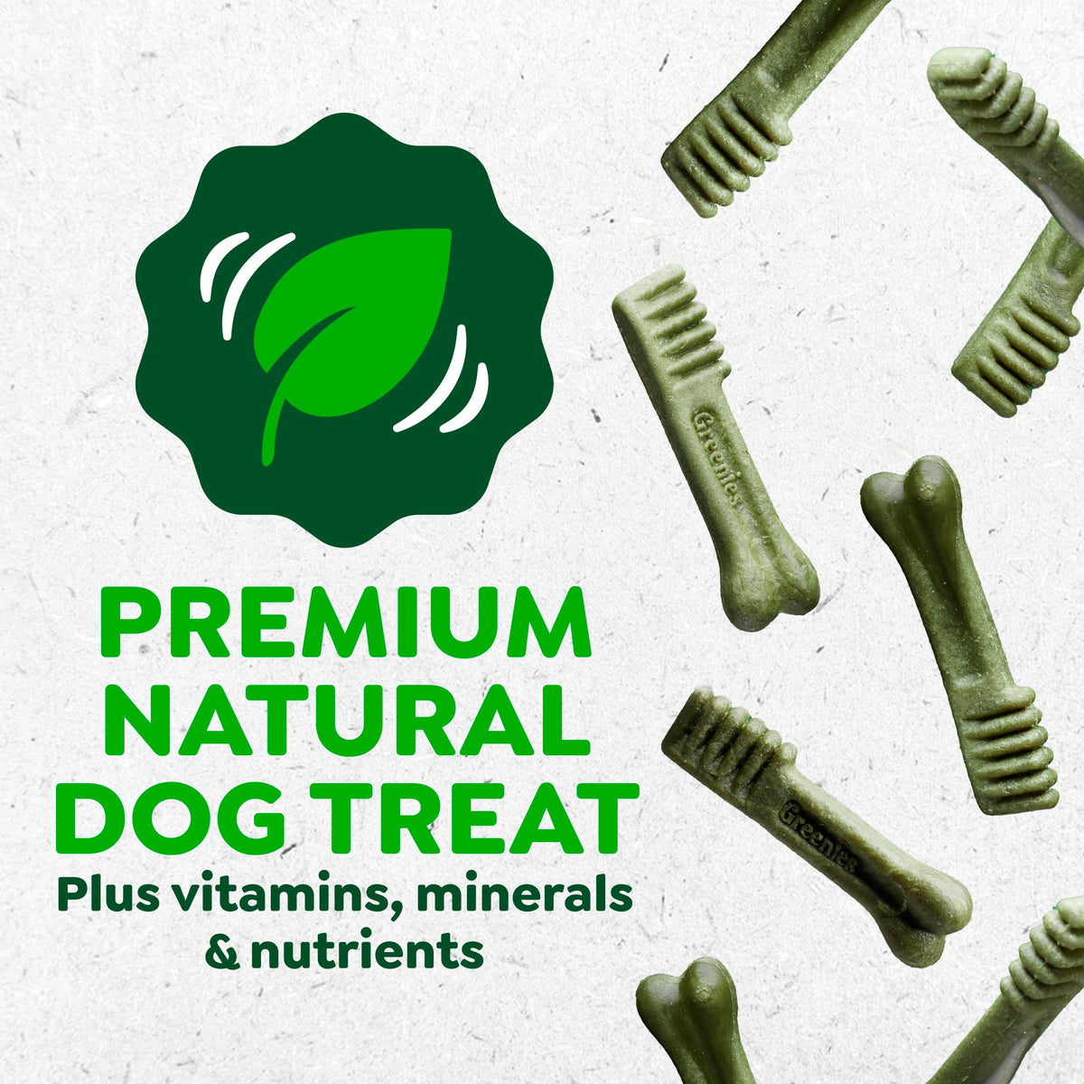 Natural Dental Dog Treats Fresh Mint Flavor 12 Count D572843