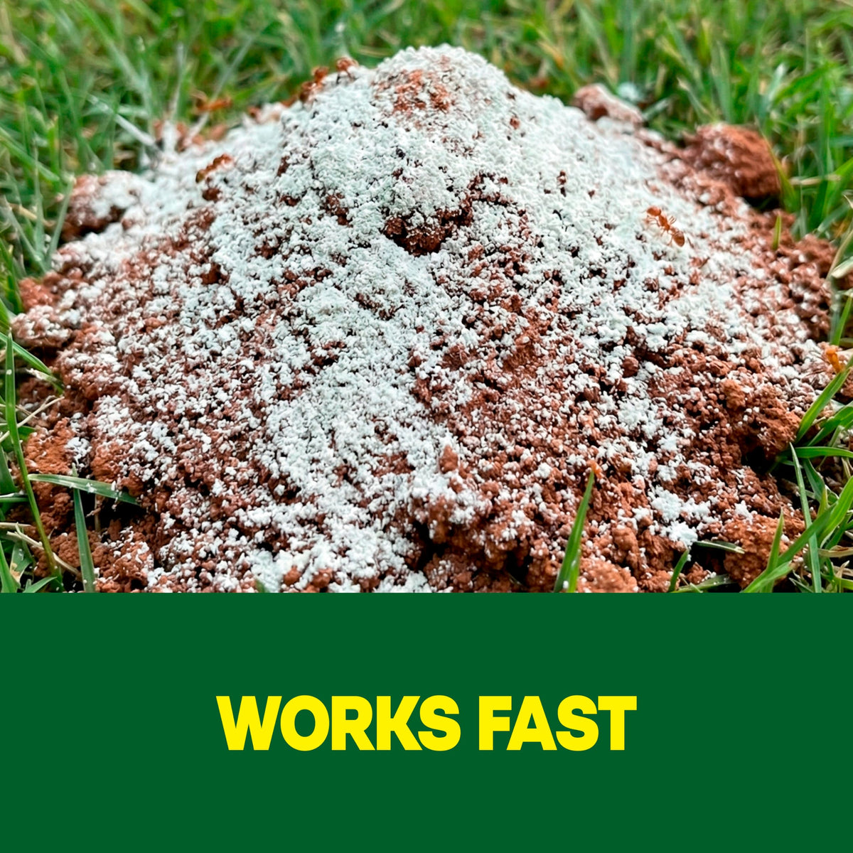 Outdoor Fire Ant Killer Dust 24 oz P85054