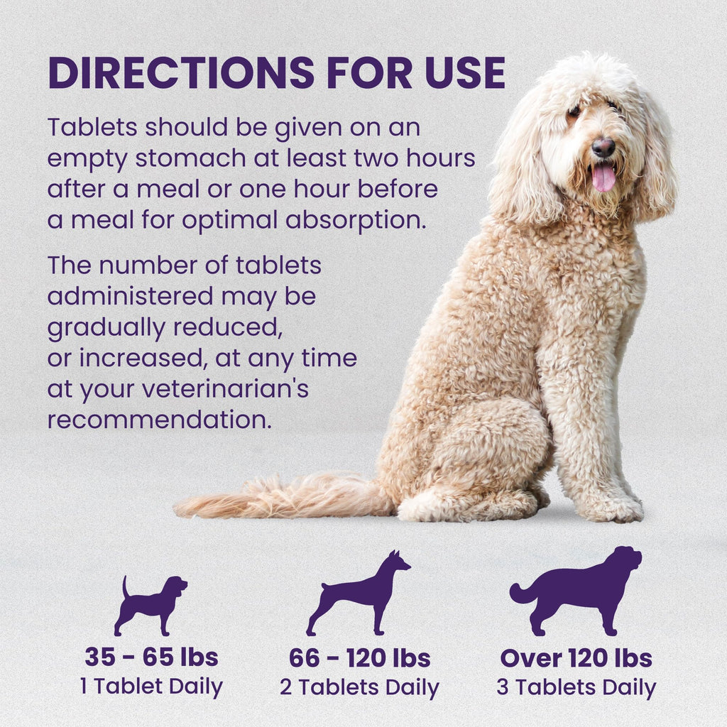 Liver Supplement for Large Dogs, 30ct H993350