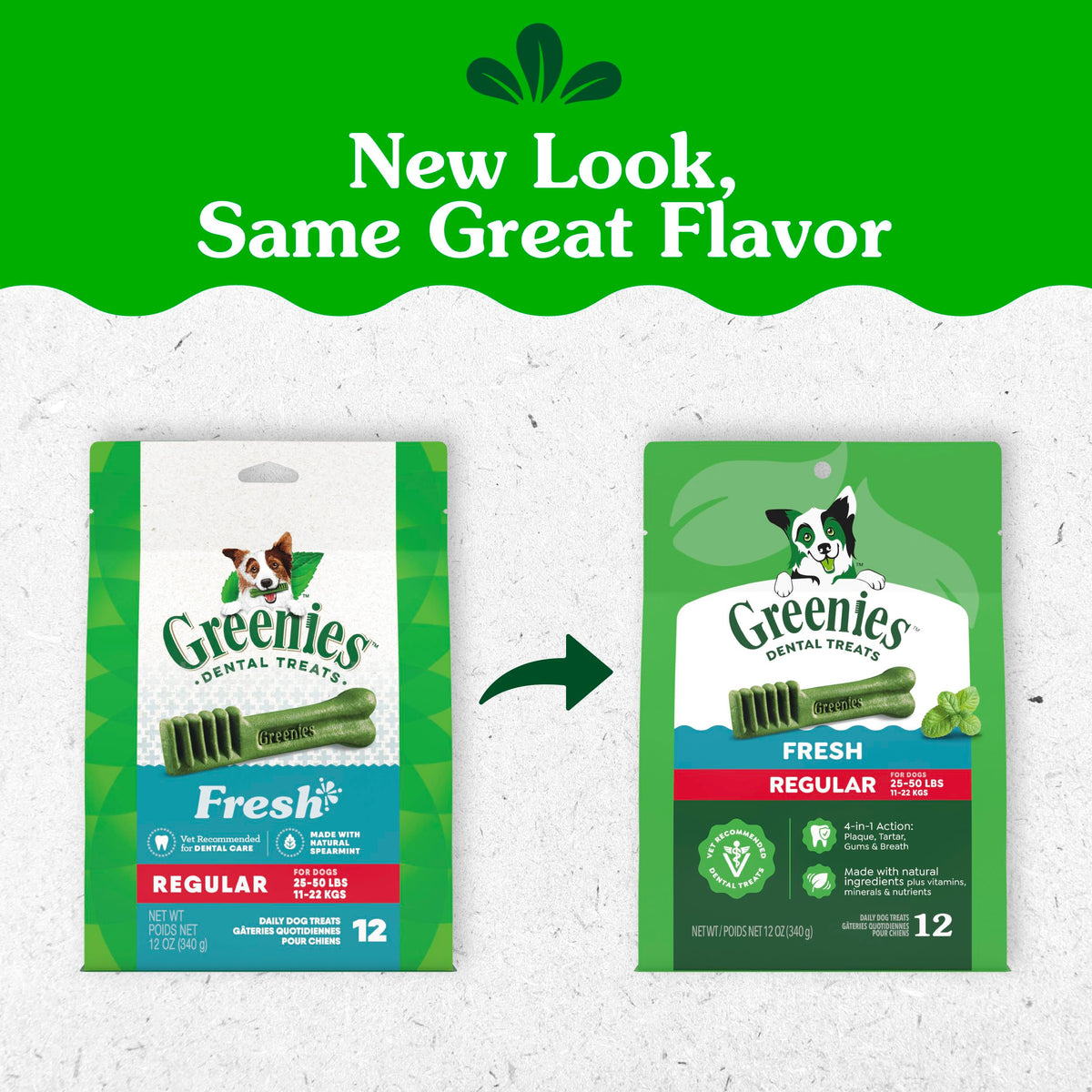 Natural Dental Dog Treats Fresh Mint Flavor 12 Count D572843