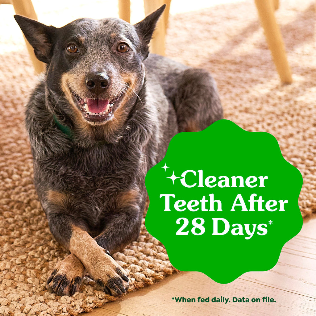 Natural Dental Dog Treats Fresh Mint Flavor 12 Count D572843