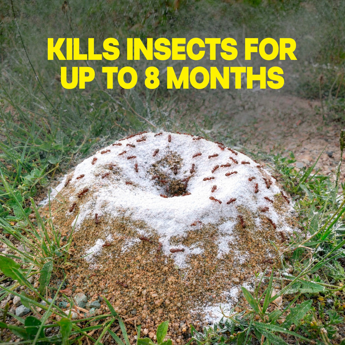 Outdoor Fire Ant Killer Dust 24 oz P85054