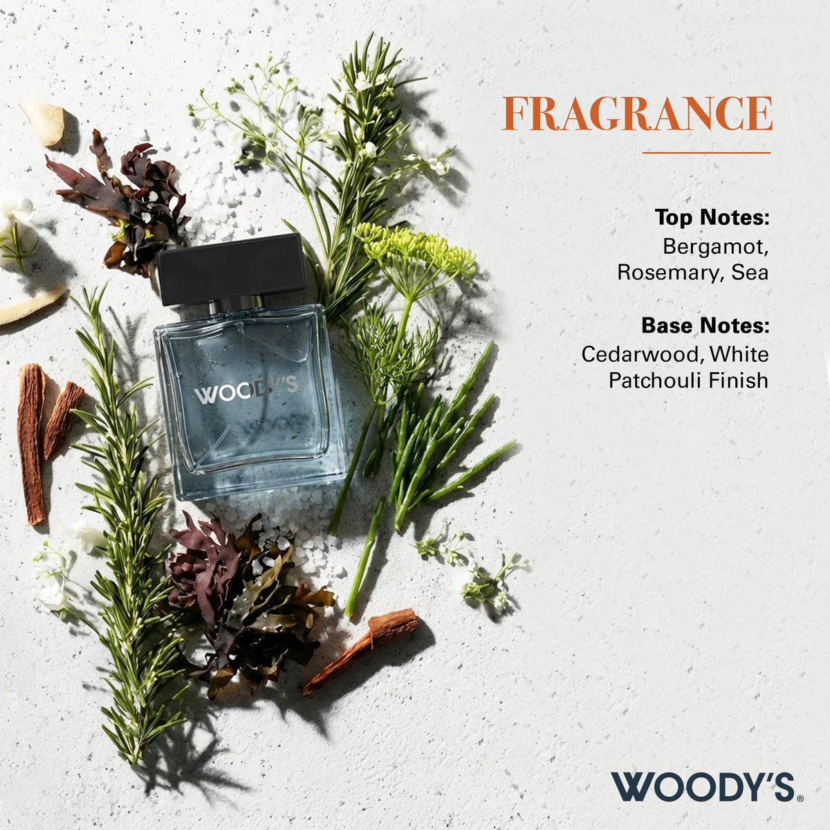 Men's Eau de Toilette Cologne 3.4 oz N364832