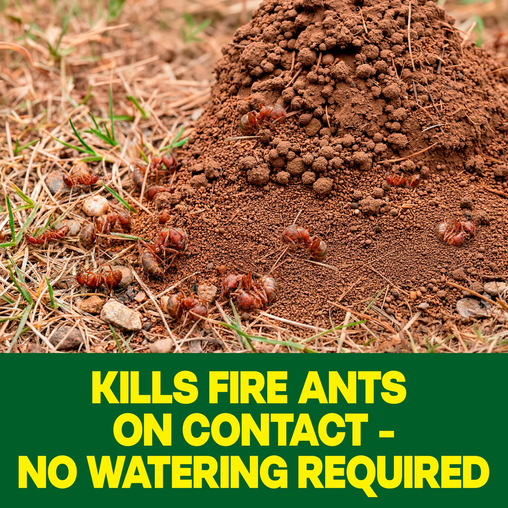 Outdoor Fire Ant Killer Dust 24 oz P85054